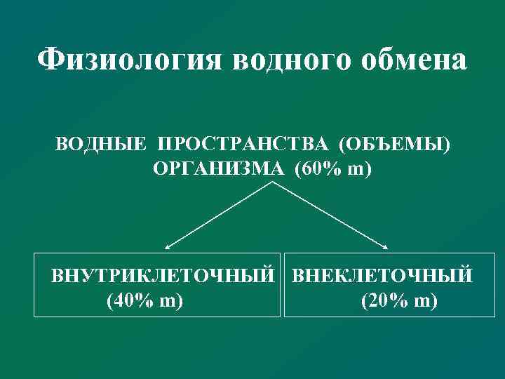 Физиология водного обмена ВОДНЫЕ ПРОСТРАНСТВА (ОБЪЕМЫ) ОРГАНИЗМА (60% m) ВНУТРИКЛЕТОЧНЫЙ ВНЕКЛЕТОЧНЫЙ (40% m) (20%