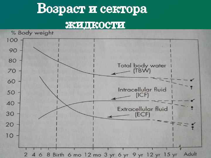 Возраст и сектора жидкости Кафедра детской анестезиологии и реаниматологии Ассистент А. О. Бобин 