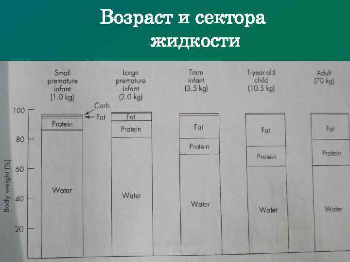 Возраст и сектора жидкости Кафедра детской анестезиологии и реаниматологии Ассистент А. О. Бобин 