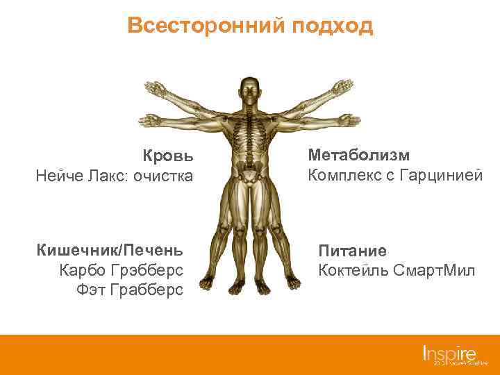 Всесторонний подход Кровь Нейче Лакс: очистка Метаболизм Комплекс с Гарцинией Кишечник/Печень Карбо Грэбберс Фэт