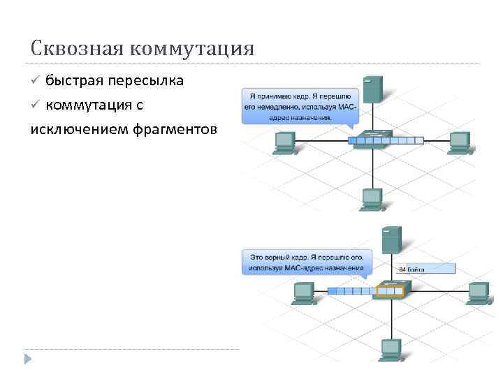 Сеть net