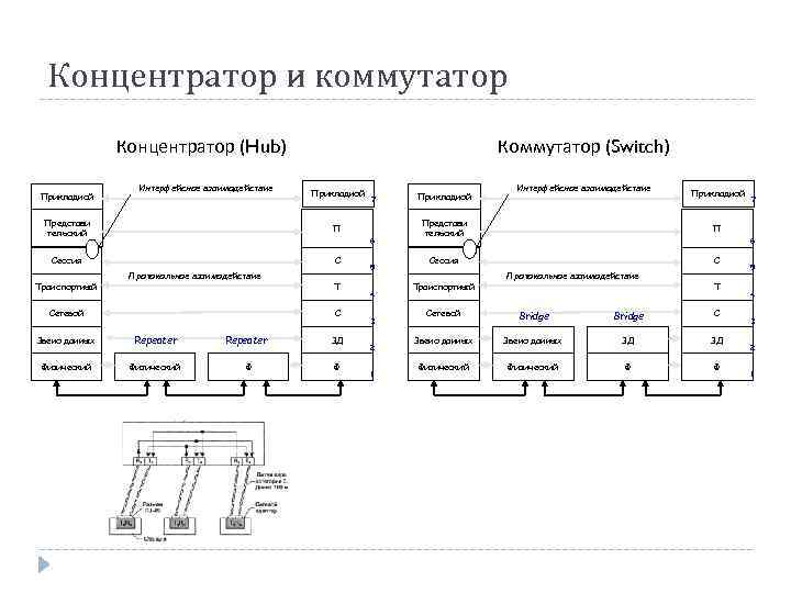 Концентратор и коммутатор Концентратор (Hub) Прикладной Интерфейсное взаимодействие Коммутатор (Switch) Прикладной Представи тельский П