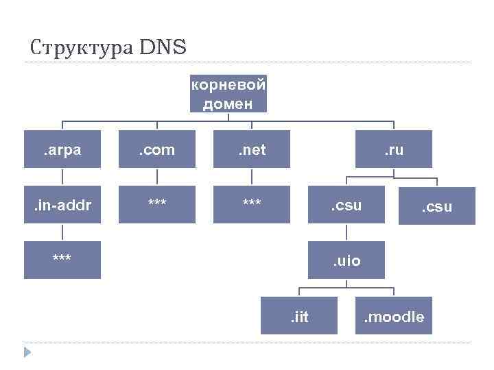 Структура DNS корневой домен. arpa . com . net . in-addr *** . ru