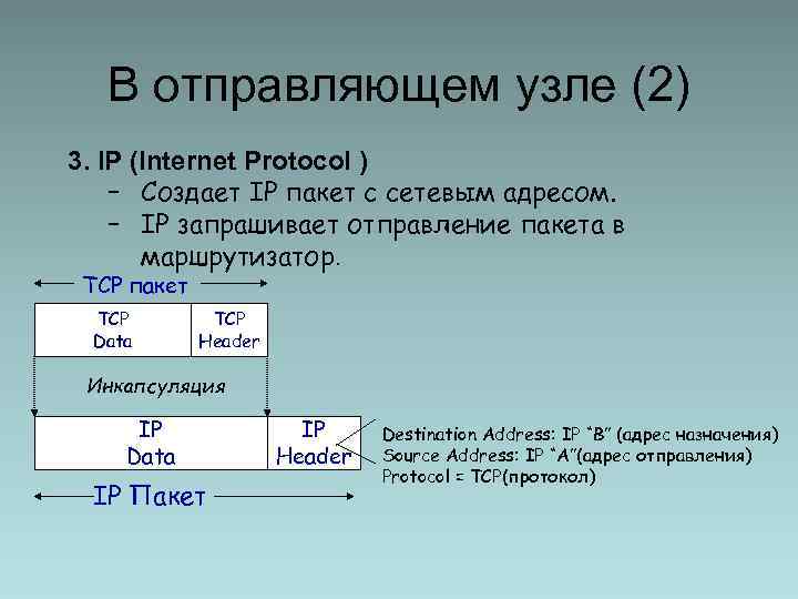 В отправляющем узле (2) 3. IP (Internet Protocol ) – Создает IP пакет с