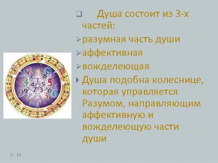 Душа состоит из 3 -х частей: Øразумная часть души Øаффективная Øвожделеющая Душа подобна колеснице,
