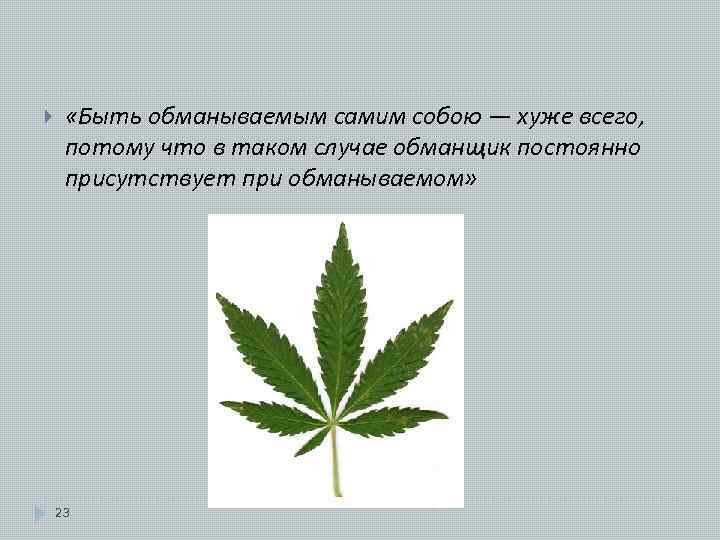  «Быть обманываемым самим собою — хуже всего, потому что в таком случае обманщик