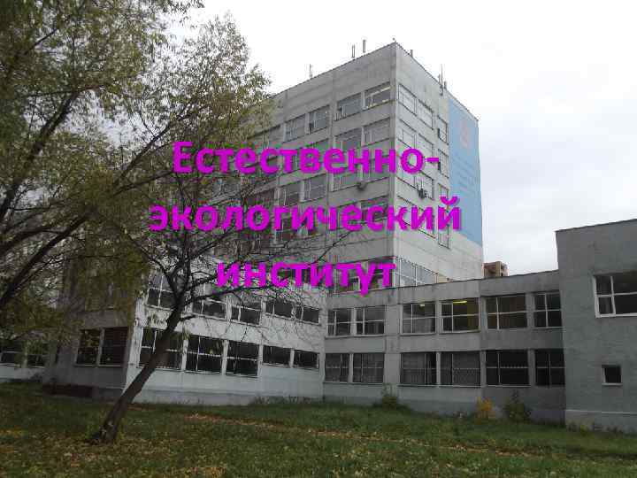 Естественноэкологический институт 