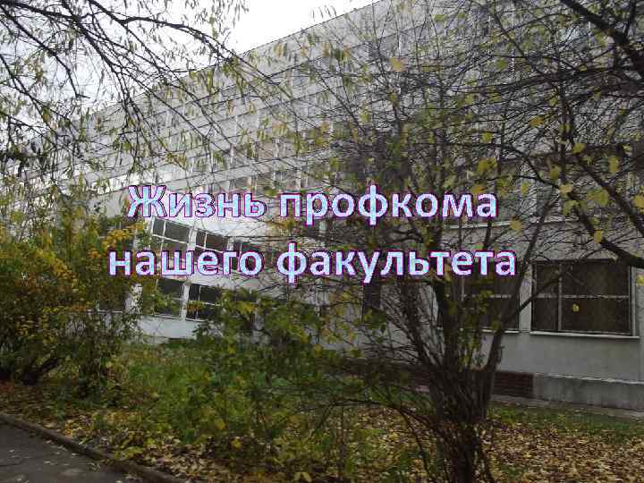 Жизнь профкома нашего факультета 