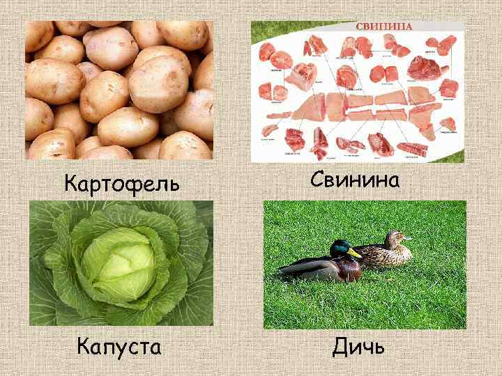 Картофель Свинина Капуста Дичь 