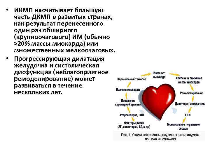  • ИКМП насчитывает большую часть ДКМП в развитых странах, как результат перенесенного один