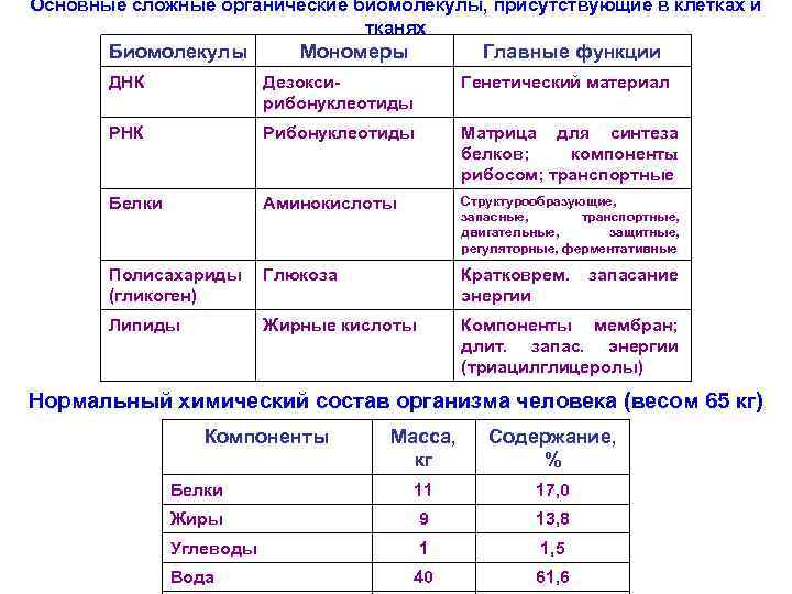 Мономеры белков и углеводов