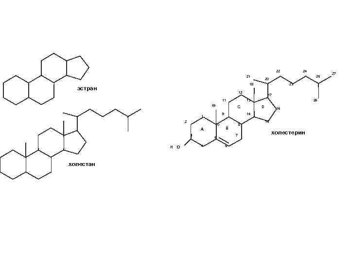  22 21 23 12 11 19 10 A 3 H O 26 D