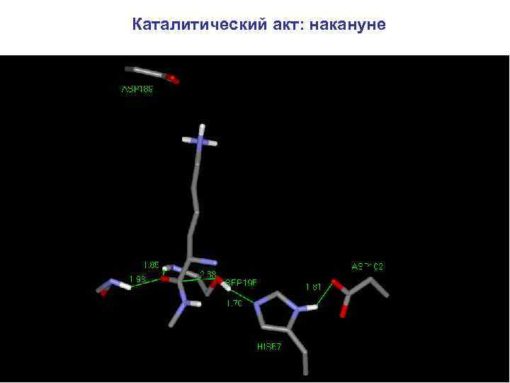 Каталитический акт: накануне 