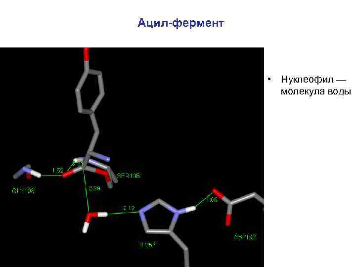 Ацил-фермент • Нуклеофил — молекула воды 