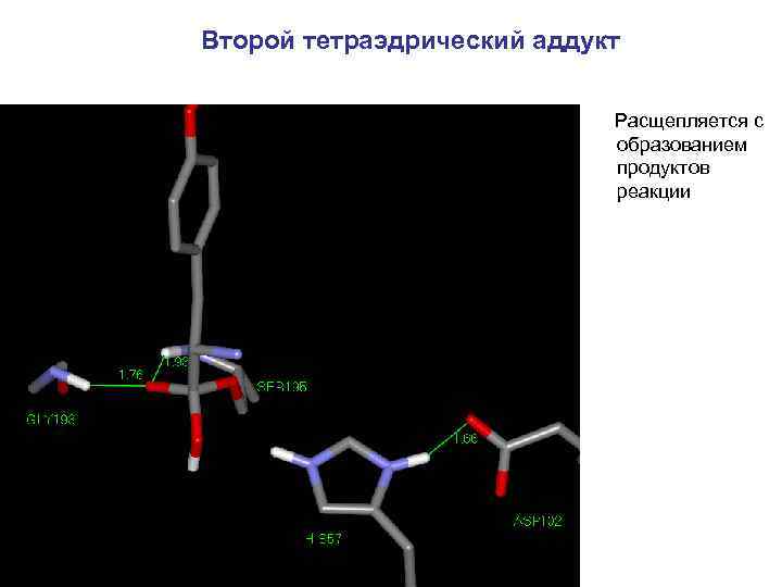 Второй тетраэдрический аддукт Расщепляется с образованием продуктов реакции 