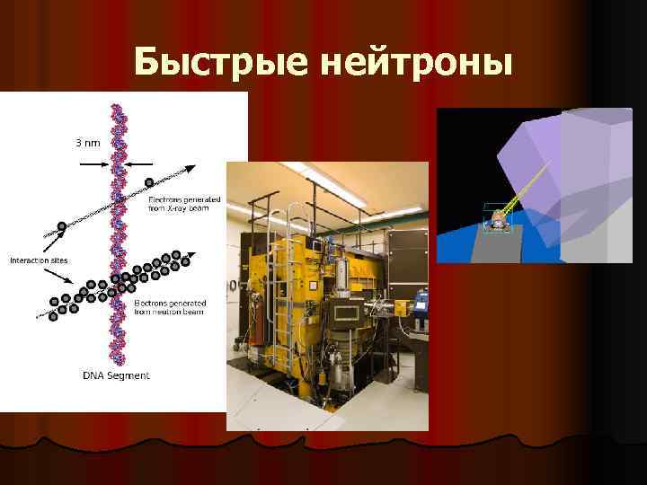 Быстрые нейтроны 