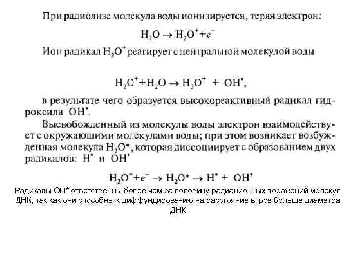 Радикалы ОН* ответственны более чем за половину радиационных поражений молекул ДНК, так как они