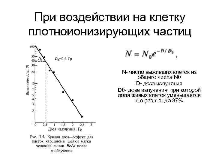 При воздействии на клетку плотноионизирующих частиц N- число выживших клеток из общего числа N