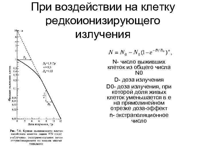 При воздействии на клетку редкоионизирующего излучения N- число выживших клеток из общего числа N