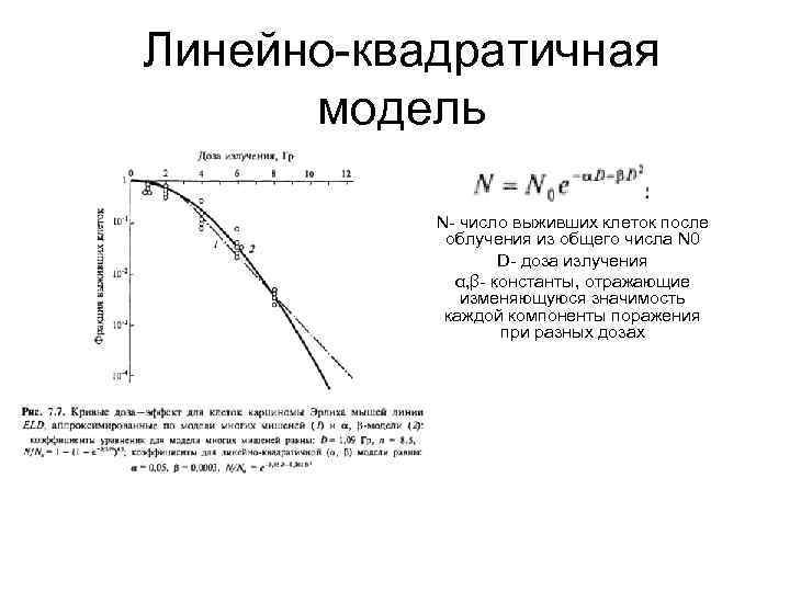 Линейно-квадратичная модель N- число выживших клеток после облучения из общего числа N 0 D-