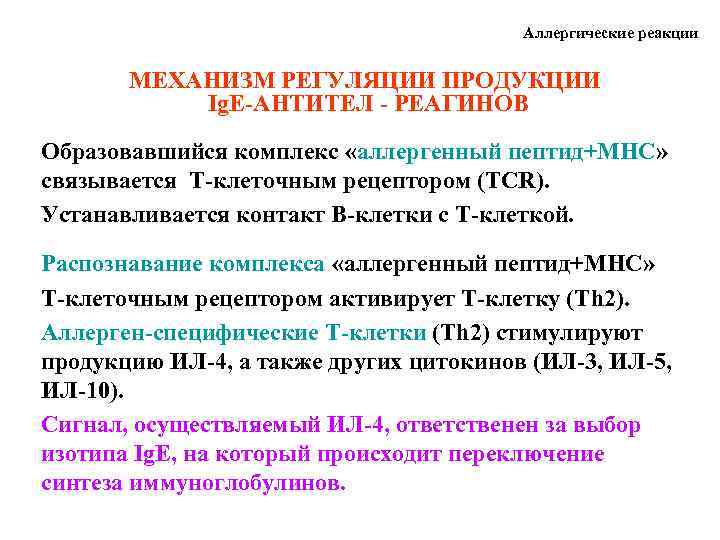 Аллергические реакции МЕХАНИЗМ РЕГУЛЯЦИИ ПРОДУКЦИИ Ig. E-АНТИТЕЛ - РЕАГИНОВ Образовавшийся комплекс «аллергенный пептид+МНС» связывается