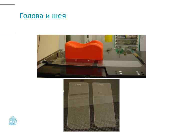 Голова и шея 