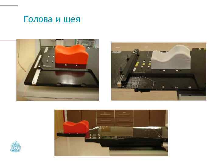 Голова и шея 