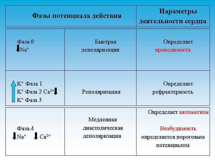 2 этногенез и его основные фазы