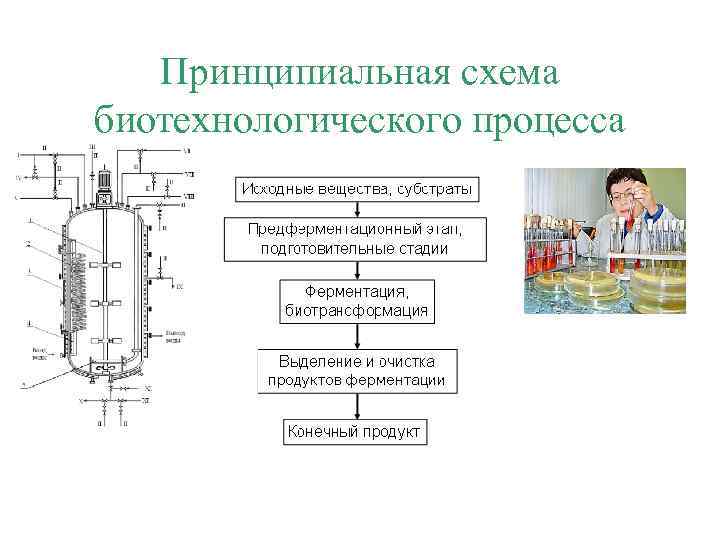 Принципиальная схема биотехнологического процесса 
