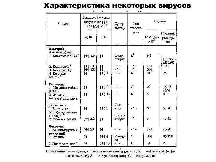 Характеристика некоторых вирусов 