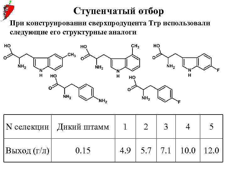 Ступенчатый отбор При конструировании сверхпродуцента Trp использовали следующие его структурные аналоги N селекции Дикий