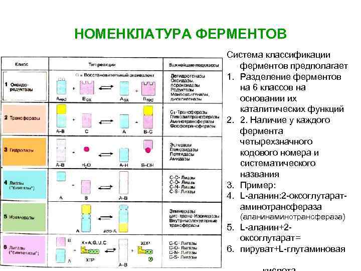 НОМЕНКЛАТУРА ФЕРМЕНТОВ Система классификации ферментов предполагает 1. Разделение ферментов на 6 классов на основании