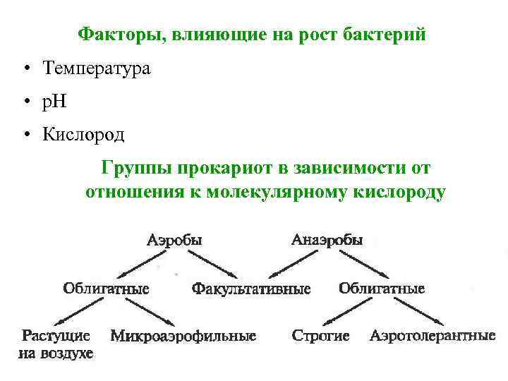 Факторы влияющие на температуру