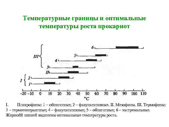 Оптимальная температура развития. Облигатные психрофилы. Температурные границы и оптимальные зоны роста прокариот. Температурные границы роста бактерий. Минимальная температура развития прокариот.