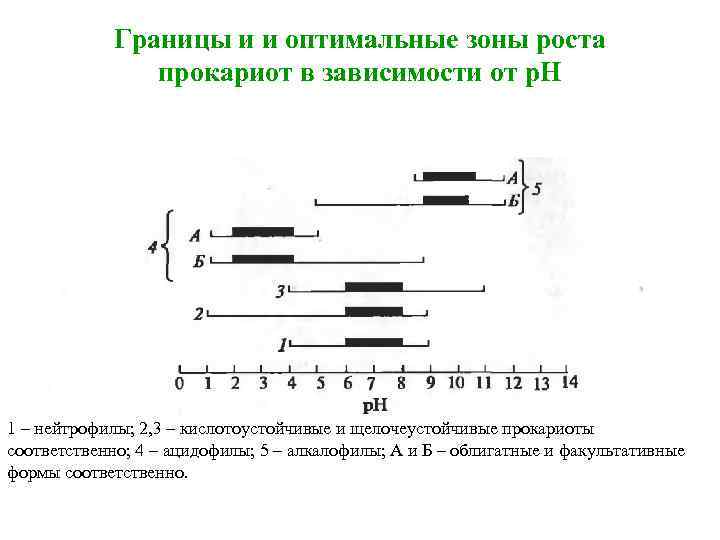 Границы и и оптимальные зоны роста прокариот в зависимости от р. Н 1 –