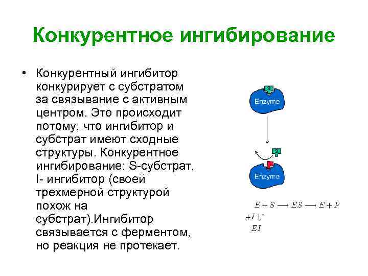 Схема конкурентного ингибирования