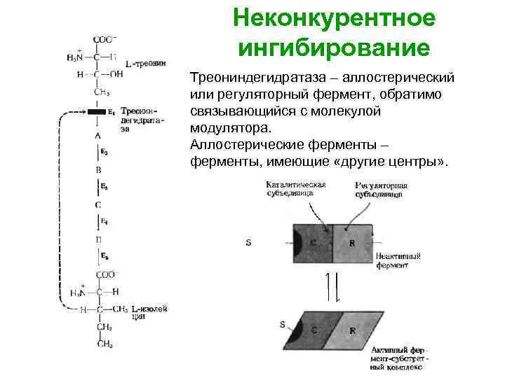 Неконкурентное ингибирование схема