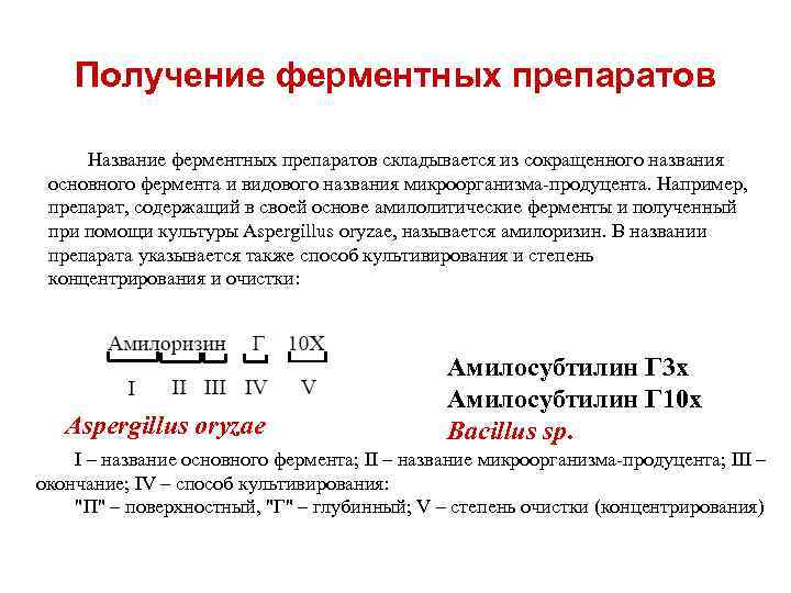 Получение ферментных препаратов Название ферментных препаратов складывается из сокращенного названия основного фермента и видового