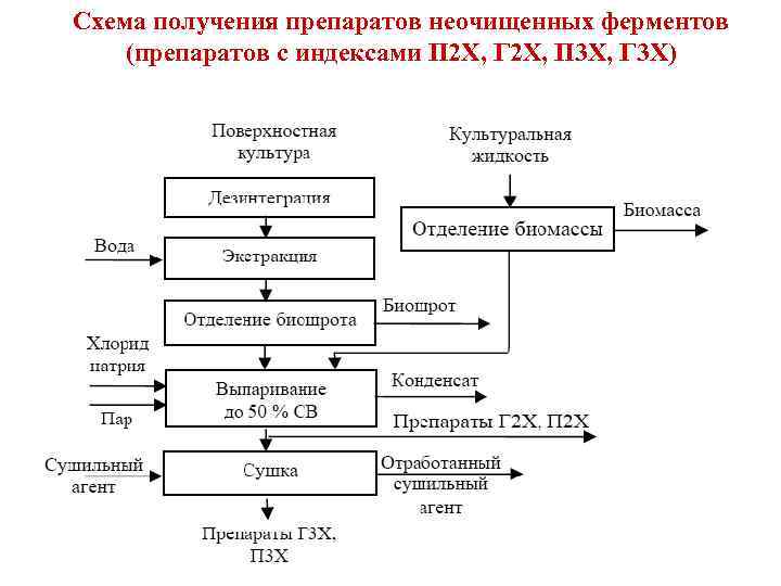 Схема производства ферментов