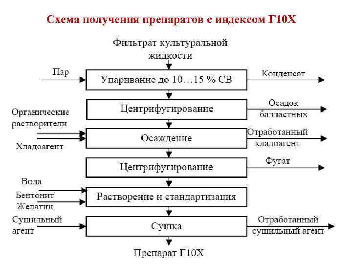 Схема производства ферментов