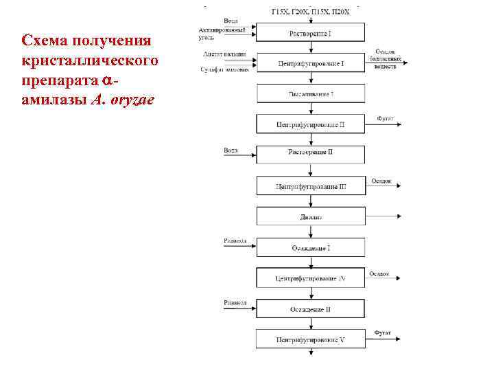 Схема производства ферментов