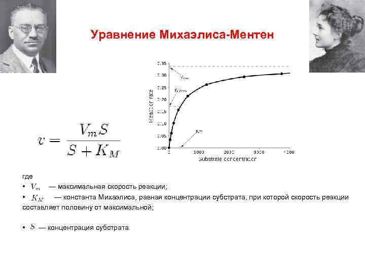 Схема михаэлиса ментен