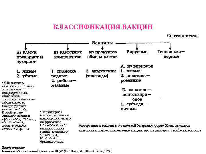 Классификация вакцин схема