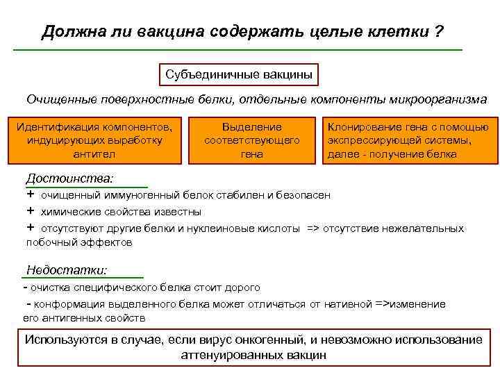 Должна ли вакцина содержать целые клетки ? Субъединичные вакцины Очищенные поверхностные белки, отдельные компоненты