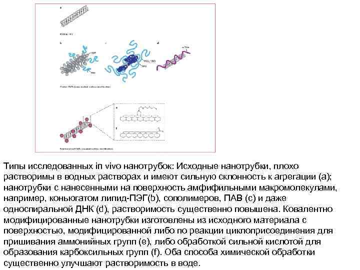 Типы исследованных in vivo нанотрубок: Исходные нанотрубки, плохо растворимы в водных растворах и имеют