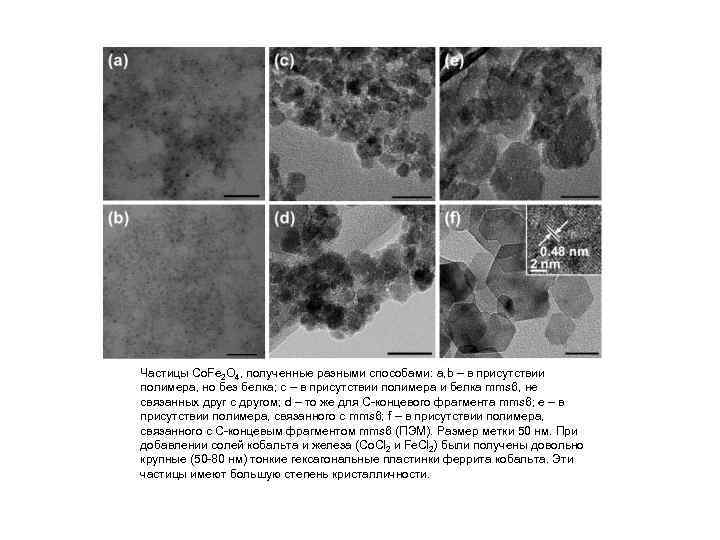 Частицы Co. Fe 2 O 4, полученные разными способами: a, b – в присутствии