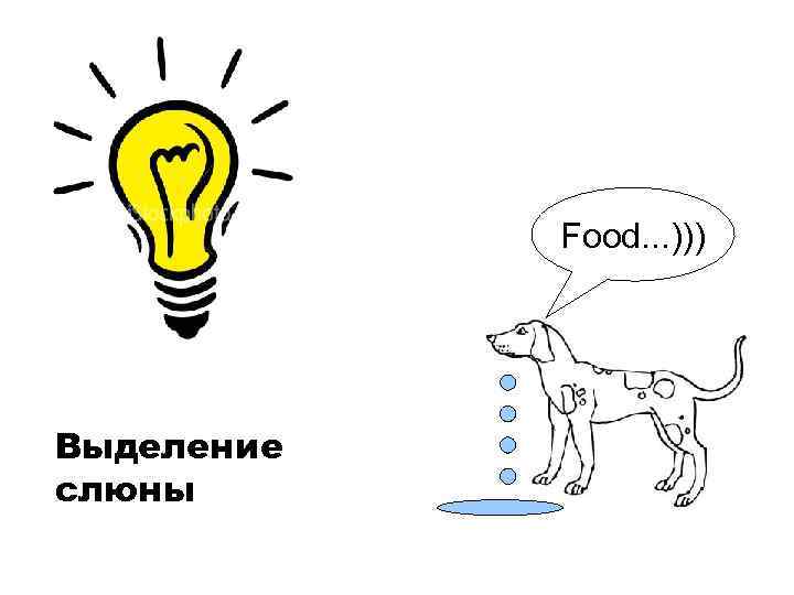 Условный рефлекс выделение слюны