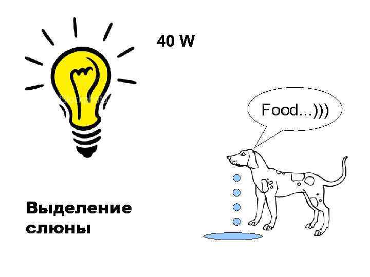 40 W Food. . . ))) Выделение слюны 