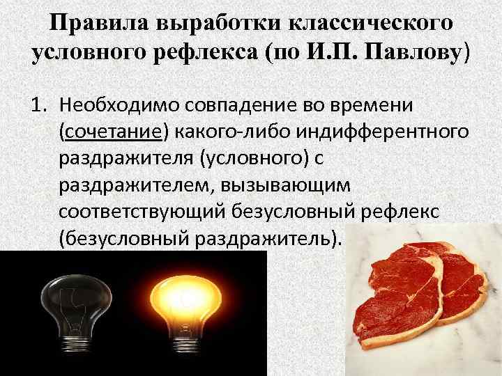 Правила выработки классического условного рефлекса (по И. П. Павлову) 1. Необходимо совпадение во времени