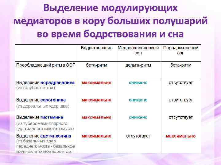 Презентация сон и бодрствование 8 класс пасечник